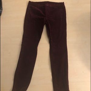 Burgundy velvet corduroy pants